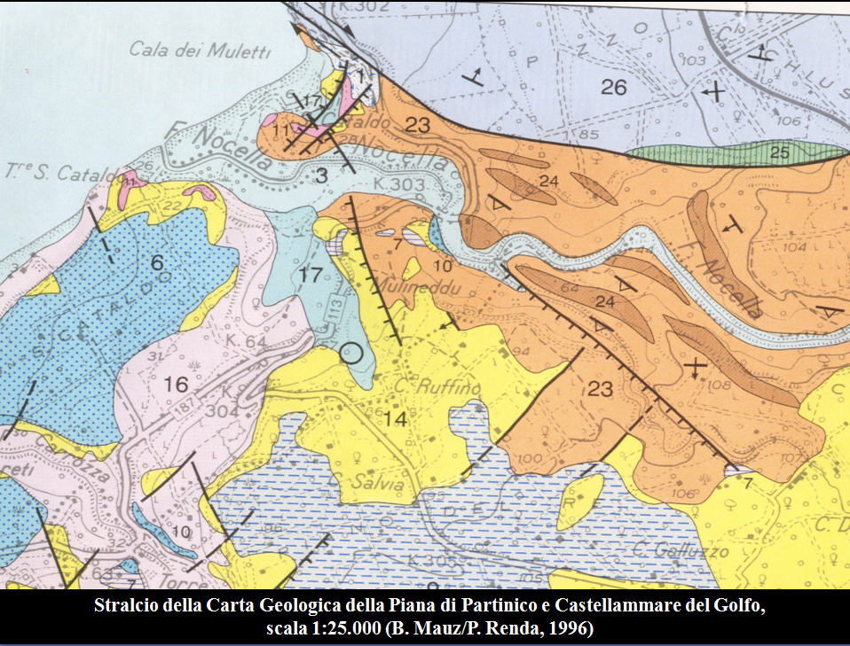 Minerale o fossile